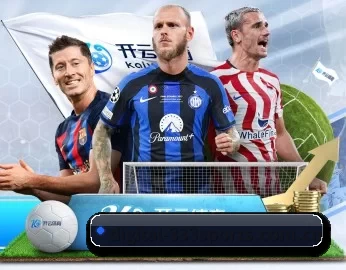 digital-333sports.com.cn的故事
